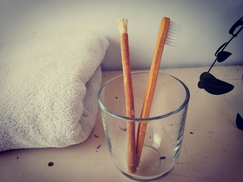 Le Siwak, présentation de la brosse à dents naturelle 