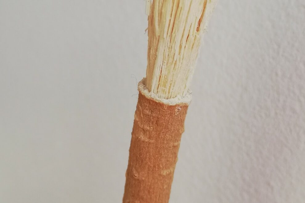 miswak modogo test