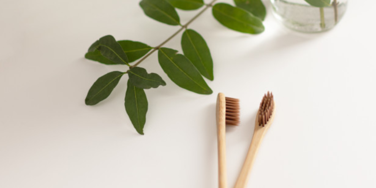 brosse-dent-naturelle-modogo